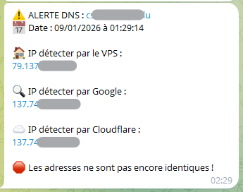 Telegram avec alerte de propagation DNS en cours